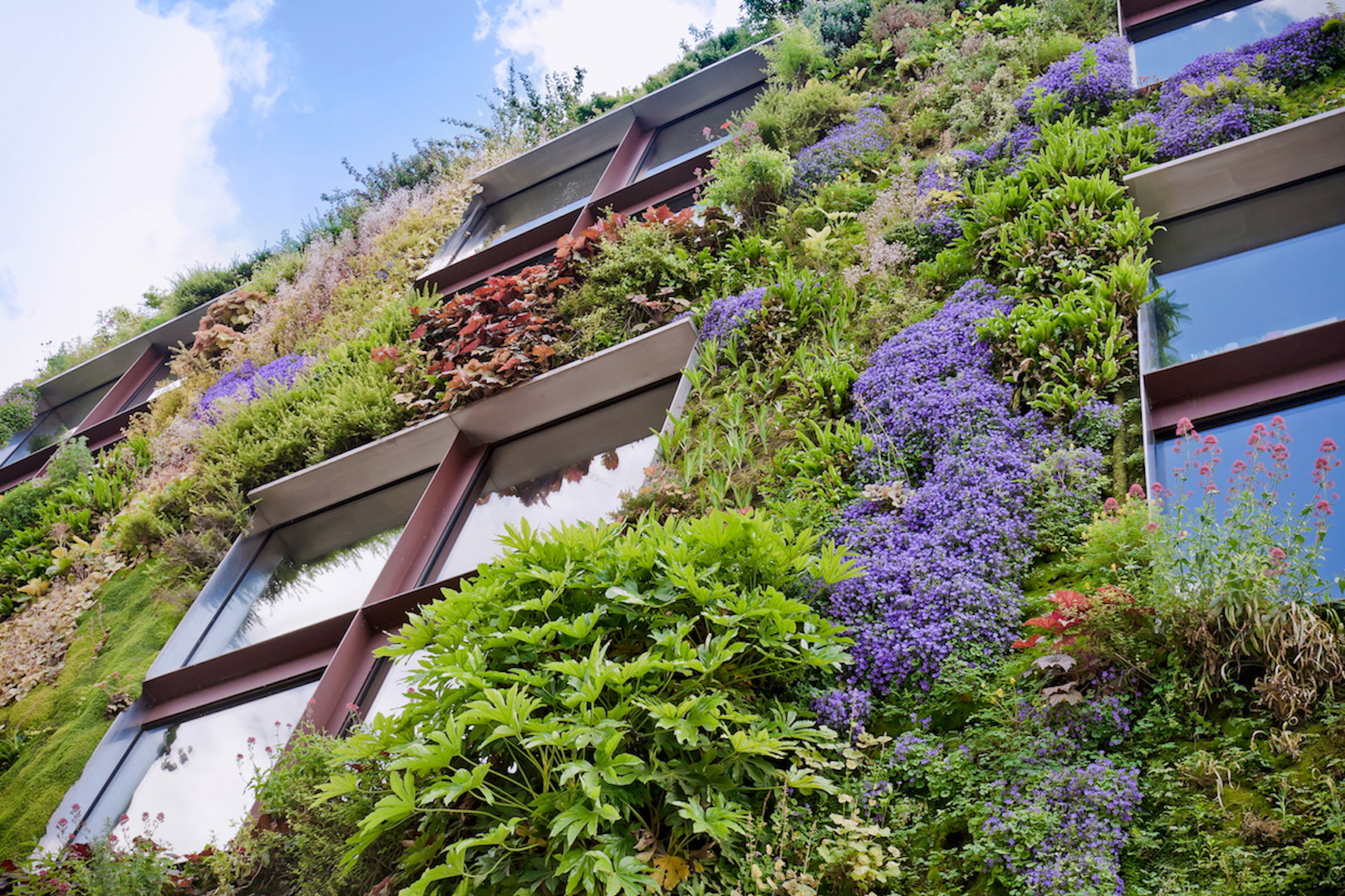 Picture of Living Wall